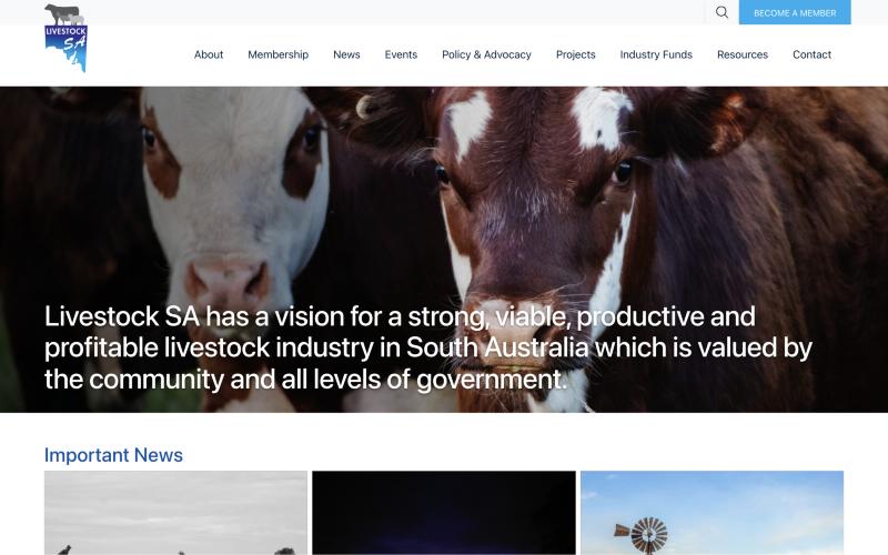 Livestock SA website homepage
